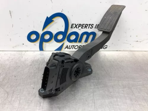 Gaspedaalpositie Sensor-6935589