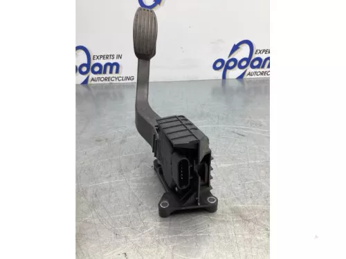 Gaspedaalpositie Sensor-7846449