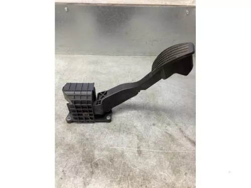 Gaspedaalpositie Sensor-8069355