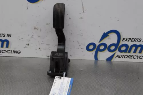 Gaspedaalpositie Sensor-7876806