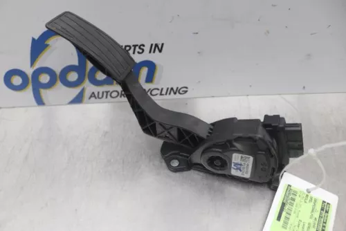 Gaspedaalpositie Sensor-7877137