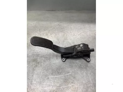 Gaspedaalpositie Sensor-8110715