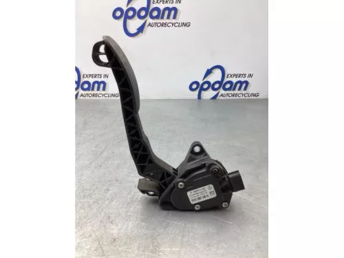 Gaspedaalpositie Sensor-8029142