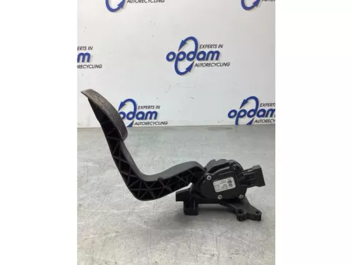 Gaspedaalpositie Sensor-8201400