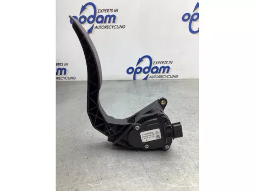 Gaspedaalpositie Sensor-8041874