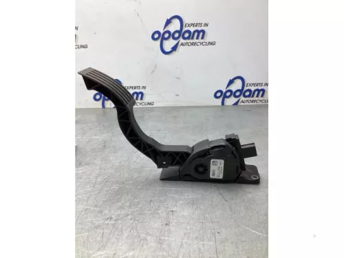 Gaspedaalpositie Sensor-8129897