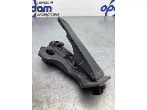 Gaspedaalpositie Sensor-5507968
