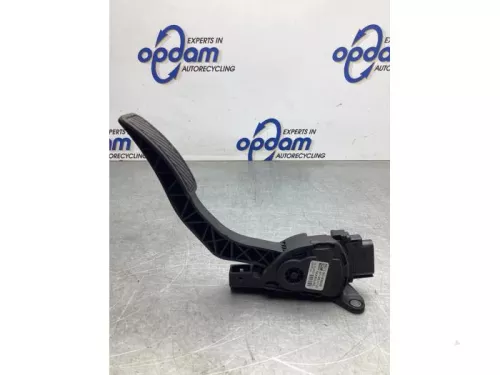 Gaspedaalpositie Sensor-8141869
