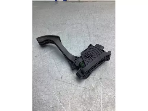 Gaspedaalpositie Sensor-8153606