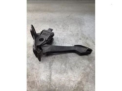 Gaspedaalpositie Sensor-8025121