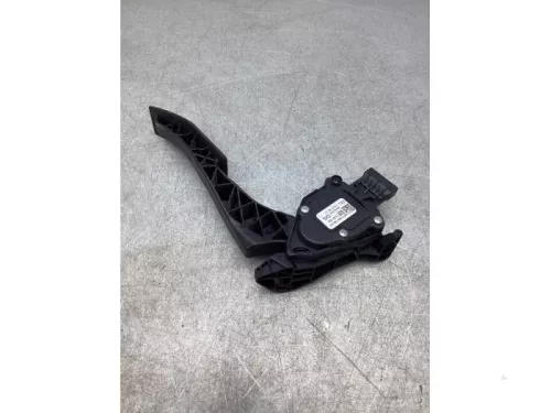 Gaspedaalpositie Sensor-6919003