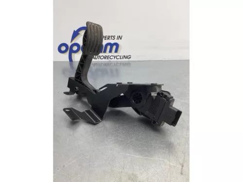 Gaspedaalpositie Sensor-6935197