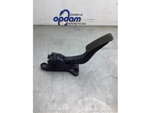 Gaspedaalpositie Sensor-8044524