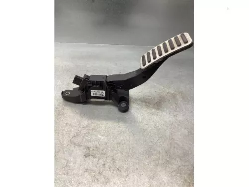 Gaspedaalpositie Sensor-7923039