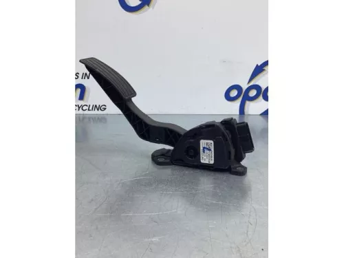 Gaspedaalpositie Sensor-6916819