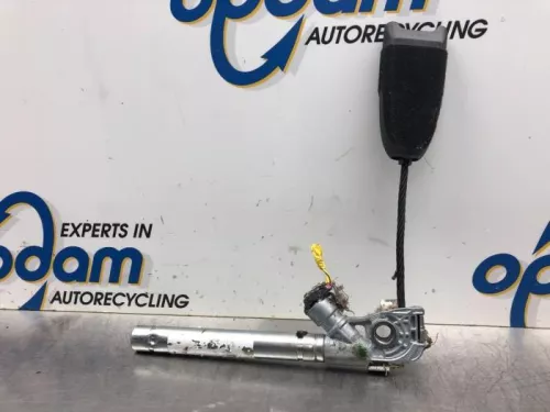 Gordelspanner links-8046853