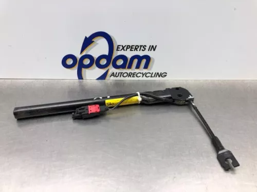 Gordelspanner links-8242075