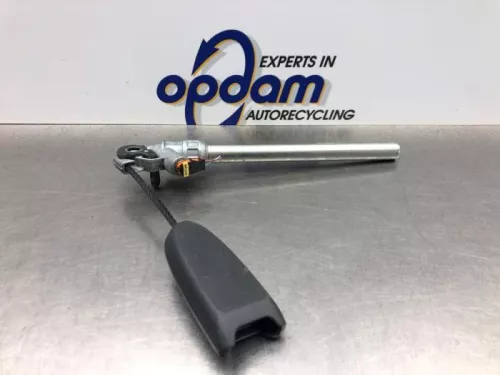 Gordelspanner links-8197146