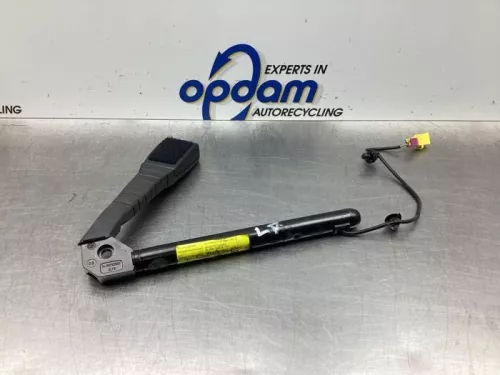 Gordelspanner links-7987526