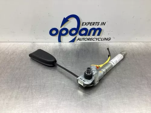 Gordelspanner links-7744255