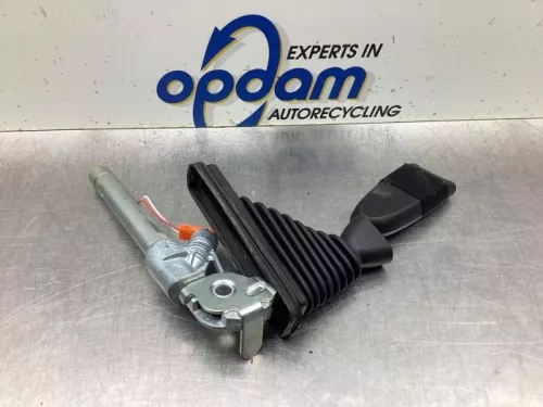 Gordelspanner links-8078724