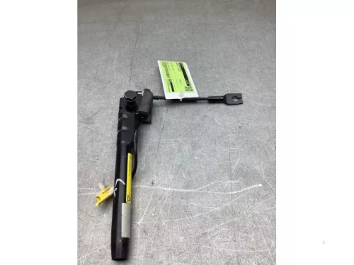 Gordelspanner links-8254144