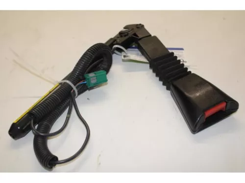 Gordelspanner links-7878513