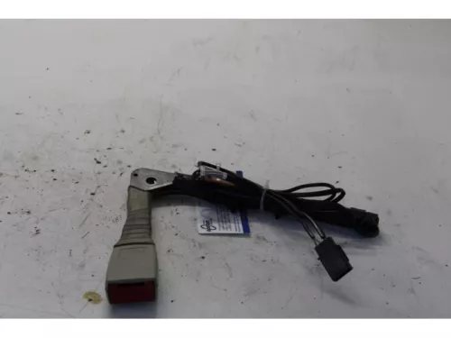 Gordelspanner links-7589948