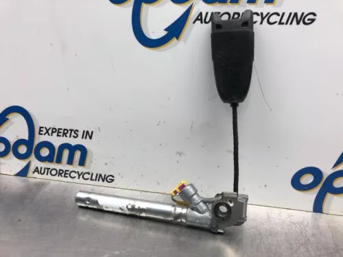 Gordelspanner rechts-8046853