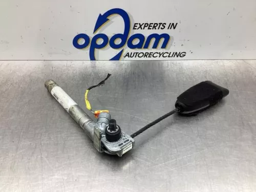 Gordelspanner rechts-7744255