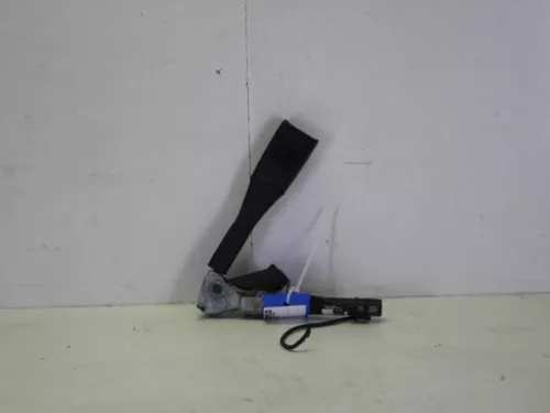 Gordelspanner rechts-7884212