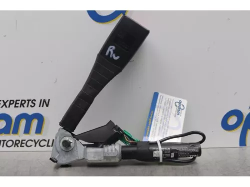 Gordelspanner rechts-7877396