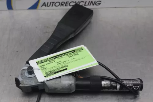 Gordelspanner rechts-7877233