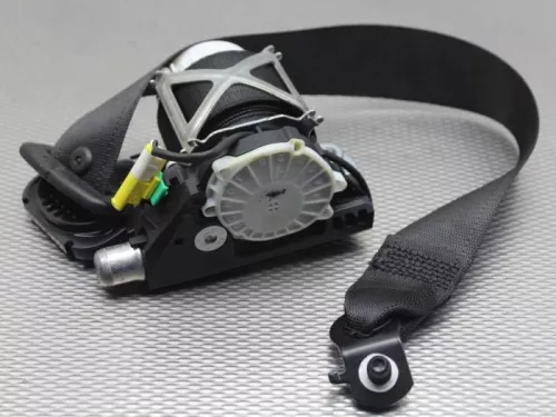 Gordelspanner rechts-7882677