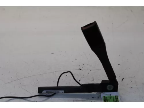 Gordelspanner rechts-7878913