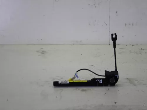 Gordelspanner rechts-7885067