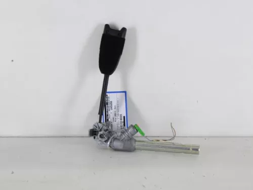 Gordelspanner rechts-7889569