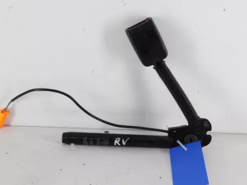 Gordelspanner rechts-7888846