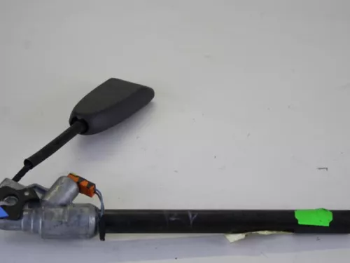 Gordelspanner rechts-7886288