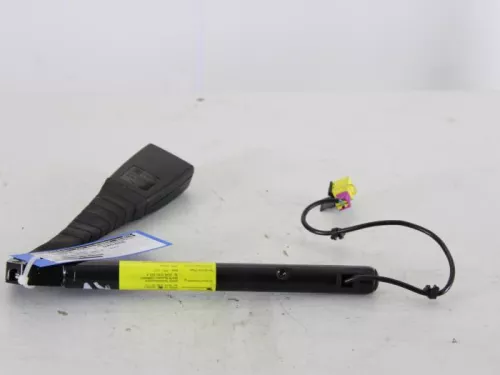 Gordelspanner rechts-7889976