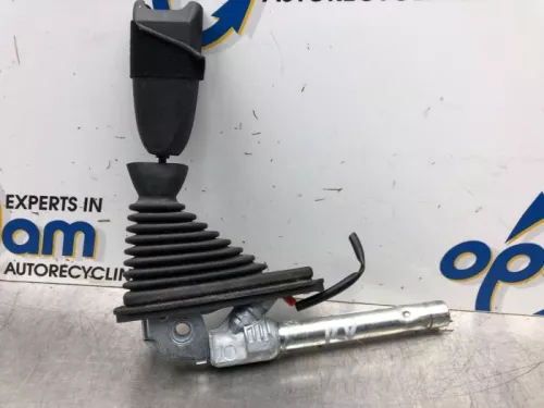 Gordelspanner rechts-6494405