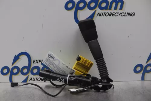 Gordelspanner rechts-7619395