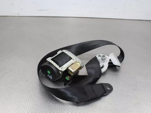 Gordelspanner rechts-7882159