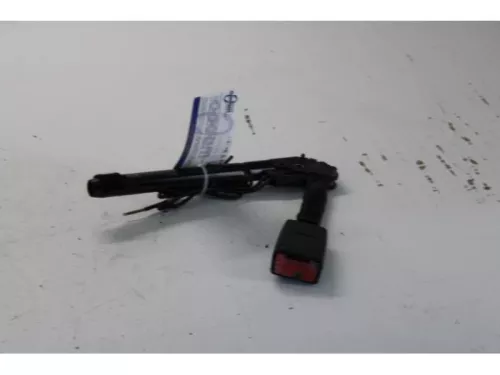 Gordelspanner rechts-7878183