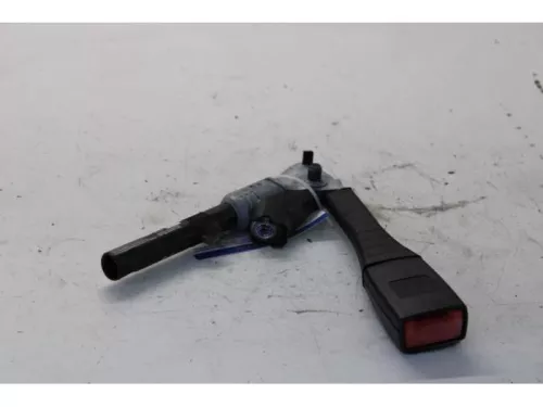 Gordelspanner rechts-7878626