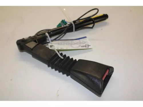 Gordelspanner rechts-7878513