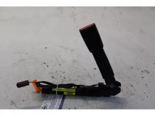 Gordelspanner rechts-7878960