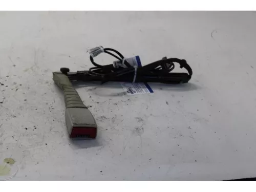 Gordelspanner rechts-7589948