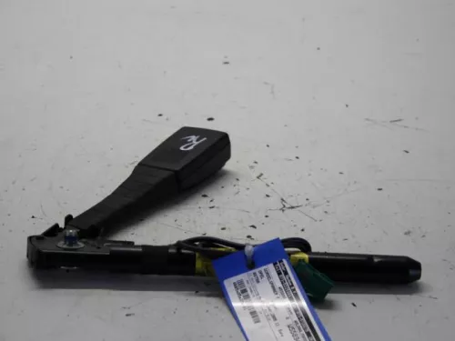 Gordelspanner rechts-7881407