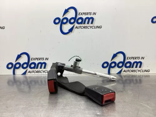 Gordelspanner rechts achter-7589070